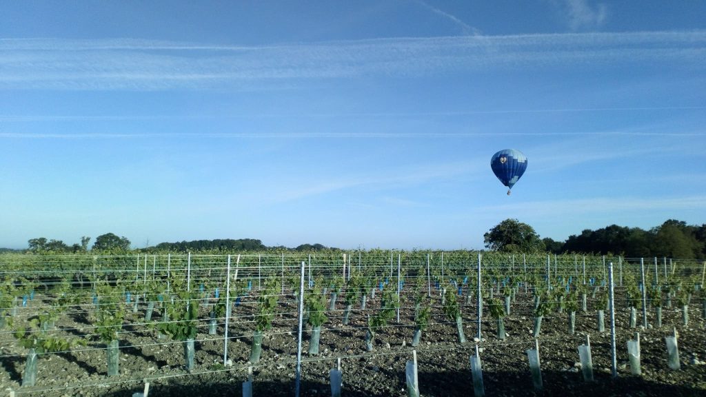 survol vigne grand lieu montgolfiere par nature