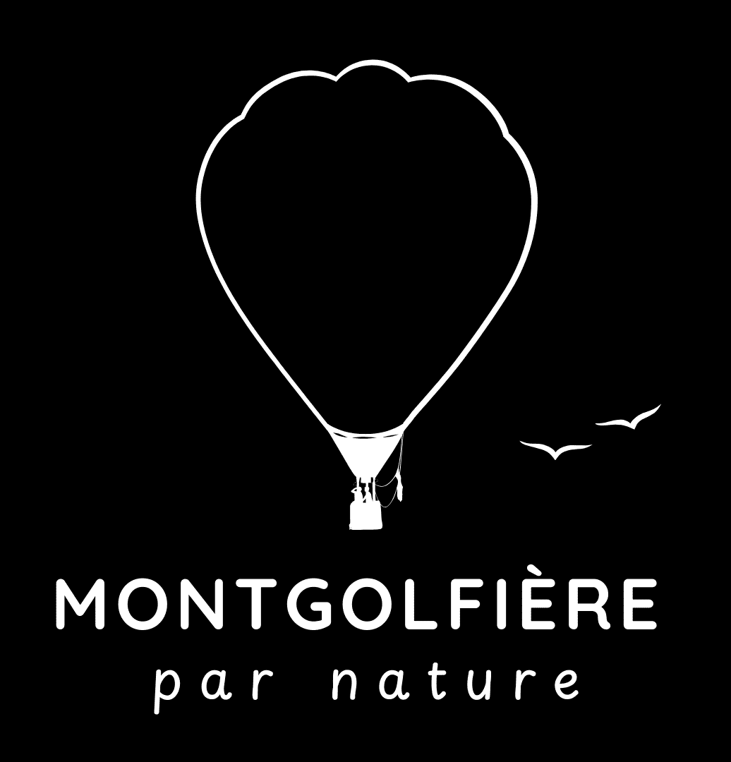 logo noir montgolfière par nature